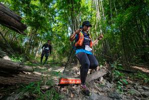 BIB: 
                            <button type="button" onclick="openModal(19392821)" class="btn btn-primary btn-sm float-right btn-popup" data-toggle="modal" data-target=".modal-high-quality">
                        <i class="fas fa-shopping-cart"></i> Add to Cart
                    </button>
                                            <button type="button" onclick="isThisMe(19392821, true)" class="btn btn-success btn-sm float-right btn-popup btn-isme hidden" data-toggle="tooltip" data-placement="bottom" title="นี่คือรูปของคุณใช่ไหม คลิกที่นี่เพื่อเอาเข้าอัลบั้ม">
                        <i class="fas fa-plus"></i> Add to album
                    </button>
                    <button type="button" onclick="isThisMe(19392821, false)" class="btn btn-warning btn-sm float-right btn-popup btn-isnotme hidden">
                        <i class="fas fa-ban"></i> Remove from album
                    </button>